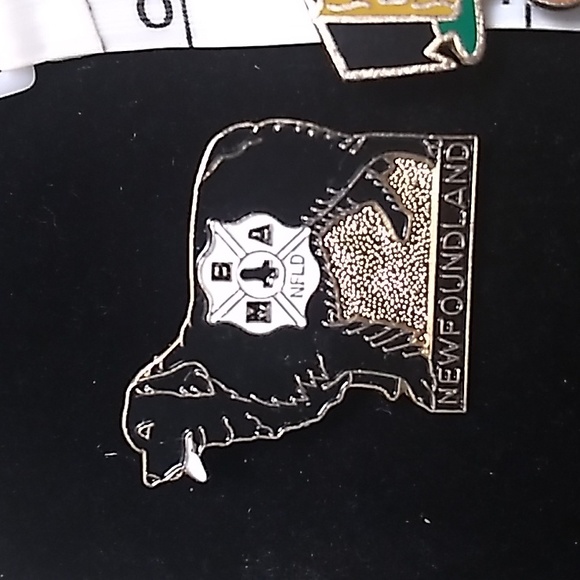 3 Collectible Pins -2 Legion(Quebec & Hawaii)& M.B.A. Nfld. - Picture 4 of 7